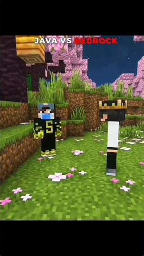 Minecraft Java vss Bedrock Water Bucket Clutch #minecraft #minecraftmemes SORLEC