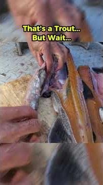 What Was Inside This Mackinaw?