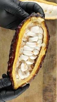 Chocolate Dry-Aged Steak