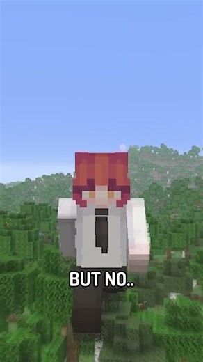 Why Does This Minecraft Item Even Exist Now?