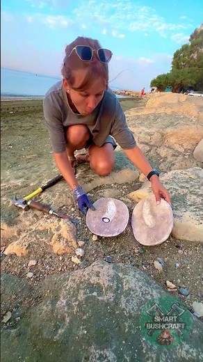 Finding Rare Fossil on the Beach! 🌊🦴 #BeachFinds #TreasureHunt #Fossil