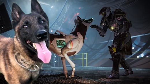 Artemis, the real-life dog behind Destiny 2’s Archie, has died