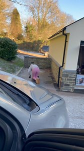 I came home to this 😳 | Jamie Nyland