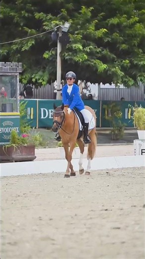 Luca Farina & Dacapo B NRW | Reprise Équipe – Championnats d’Europe de Dressage Poneys 2025 🇮🇹🐴