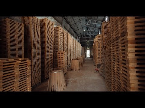 1 Hour of Creaking Wood Floor Sounds