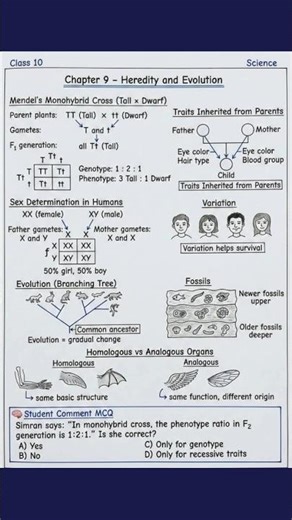 Genetics Made Easy 🧬 | Class 10 Quick Revision #biology #genetics #monohybrid #science #neet