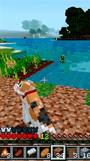 Scaredy Cat Creeper 😹😹💥🤯 #minecraft #gaming #memes #minecrafthumor #minecraftshorts #creeper