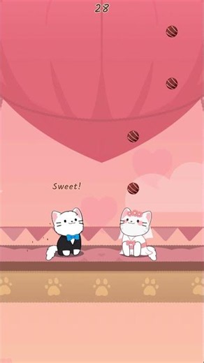 Walking The Cats - Groom & Bride - Duet Cats #popcat #duetcats #cute #cat #rhythm #music #game #meow