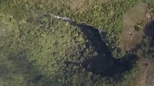 Secret forest discovered in massive 630ft-deep sinkhole