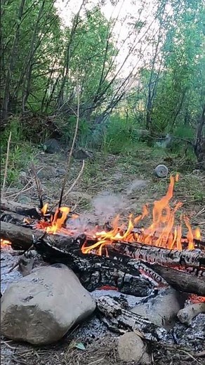 Томь день на реке