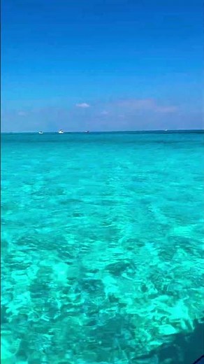 Crystal Clear Waters of Cancún 🇲🇽