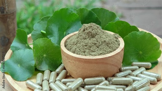 Centella asiatica (Gotu Kola), Gotu Kola powder, and Gotu Kola capsules: Organic health herbs.