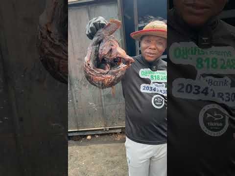 The clear difference between smoking size catfish VS the table size catfish