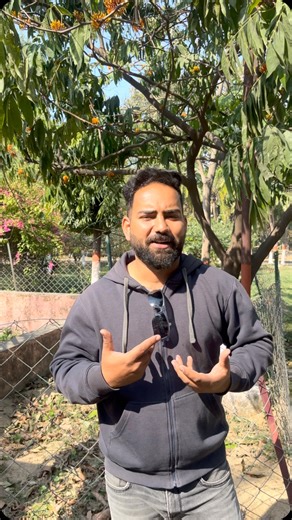 “Meet the majestic Saraca Asoca tree! Also known as the Ashoka tree, this stunning species is steeped in history and mythology. Watch to learn more about its unique features and benefits! #SaracaAsoca #AshokaTree #TreeLove #NatureEscapes #Botany” #AshokaTree #TreePhotography #NatureVibes #BotanicalWonders” | Steve Fernandes