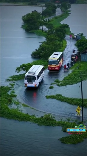 Beautiful Scenery | Gods Own Country From Kerala | Alappuzha | Veliyanad | For Resorts : 9946890815