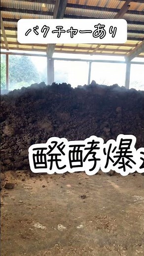 牛糞の堆肥化にバクチャーを使ってもらいました！！ #bakture #バクチャー #土壌改善 #臭気対策 #土 #水質浄化 #牛舎