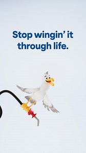 167 reactions · 31 comments | The Gull App is chocka full of good stuff, like alerts that help you save! Get to the app store STAT, coz the road’s better with Gully on your side.  | Gull New Zealand | Facebook