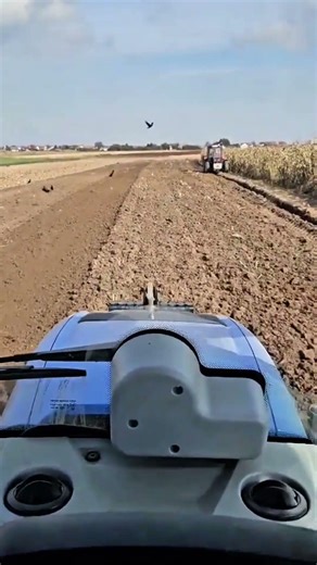 New Holland Planting, International Plowing 🚜🌾 #newholland #farmlife #international #tractors