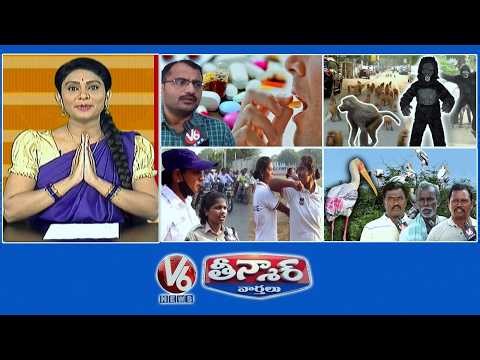 Heavy Antibiotic Consumption |Sarpanch Idea-Monkeys |Women Constables-Field Operations| V6Teenmaar
