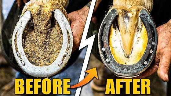 Full farrier tool restoration: Deep clean ASMR that’s oddly satisfying