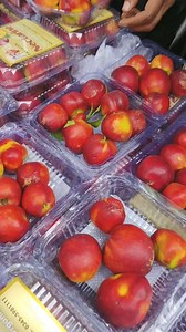 133 reactions · 9 comments |  Nectarine Fruit MIK Farm in Hazro Attock | Khawaja Mazhar Iqbal | Facebook