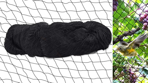 Watch bird netting for garden on Amazon Live