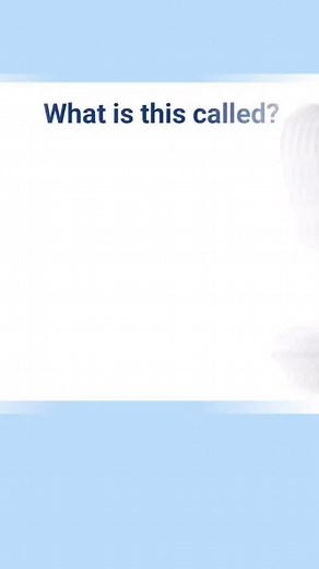 Can you name all these clothing items in English? 🧢👗 From drawstrings to swimsuits, let’s test your vocabulary! How many did you get right? Comment below! 📝👇 #LearnEnglish, #ClothingVocabulary, #EnglishWords, #FashionVocabulary, #EnglishChallenge, #VocabularyBoost, #SpeakEnglish, #EnglishLearning, #ESL, #EverydayEnglish | TalkyTok