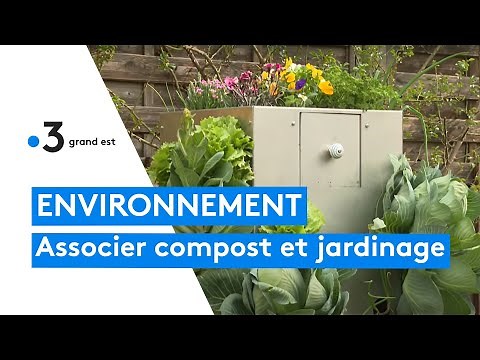 Jardins : il crée un potager-composteur autonome pour faire pousser ses légumes et faire son compost