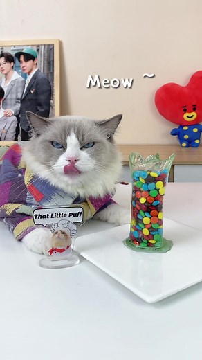 I will be finishing the cup before you can put stuff in it 🤣 #thatlittlepuff #recipe #puffknowsbetter #JustDanceWithCamila