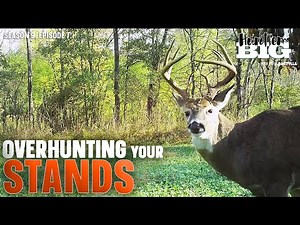 How to Avoid Overhunting a Deer Stand
