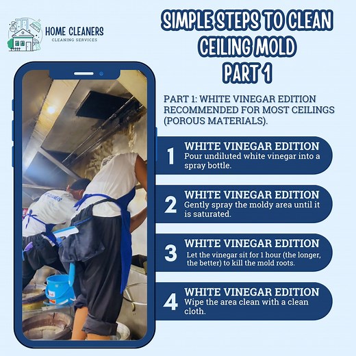 Ceiling Mold Alert! 🚨 Here’s the only hack you need: PART 1: WHITE VINEGAR EDITION Tired of scrubbing that ceiling spot? Use undiluted white vinegar in a spray bottle and let it sit for 60 minutes. It's safe and effective! BUT HERE'S THE TRUTH: Cleaning the mold won't stop it. If it's on your ceiling, it means you have an active leak (roof or pipe) that needs immediate repair. Don't risk serious damage! Book Home Cleaners to handle the clean-up while you focus on the fix. | Home Cleaners - San 
