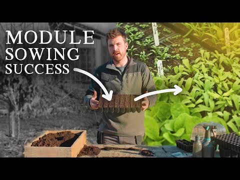 The One Module Tray for Starting 92% Of Crops (And Sowing Demo)