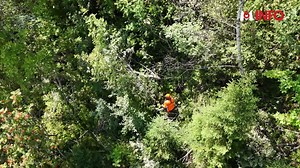 🌲 Julien Monod, ouvrier forestier à l’ONF en Savoie, accompagne la forêt de demain. Sylviculture, gestion des risques, délimitation des parcelles. Il arpente les bois de son enfance, au plus près du terrain. 🎥 Luigy Lacides | M6 Info