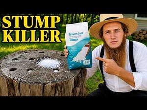 10 GENIUS Ways to Remove a Tree Stump WITHOUT Heavy Equipment