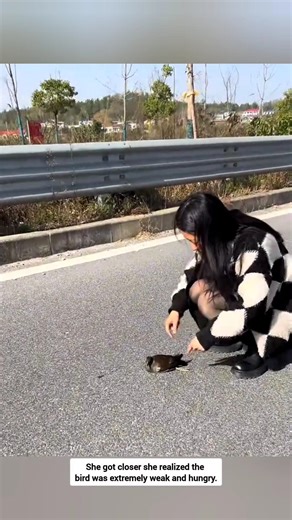 This woman rescue baby bird #wildbirds #rescue #kindness