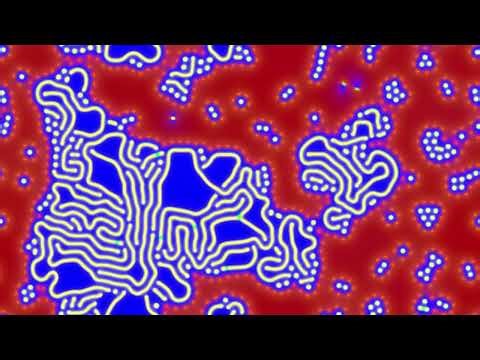 reaction diffusion experiment absorb and emit travellers 113 var 116 000 pod emitters