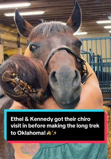 Ethel & Kennedy chiro visit before Oklahoma trek