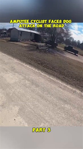 This is actually a very humane solution. When I was a kid I got chased/bitten by a neighbors dog and it was immediately euthanized and the owner got a huge fine.He's training these dogs not to bark at/bite strangers in the road, and some stinging eyes is a good compromise.