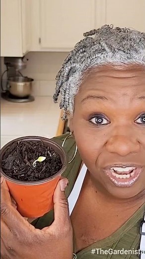 Grow Cantaloupe in Big or Small Spaces!