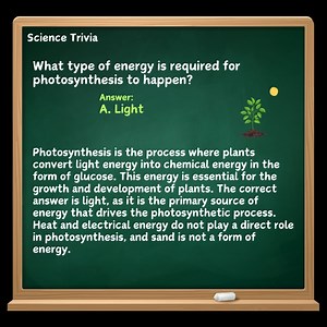 3.1K views | Science Trivia: What type of energy is required for...