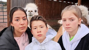 199K views · 6.3K reactions | We were checking up on the alpacas, and learned that Coco didn't make it. We are all so sad and miss them so much. So, we decided to go visit them at the alpaca farm! | Crazy Middles | Facebook