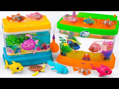 [Toy asmr] Dolphin & Shark & Zuru Robo Fish & Baby Shark & Aquarium ASMR Satisfying with Unboxing