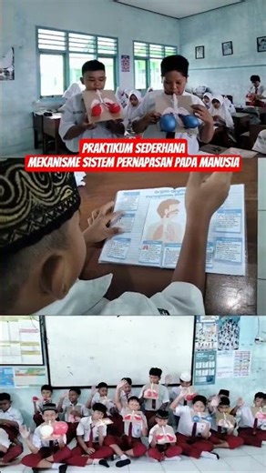 Praktikum Sederhana Mekanisme Sistem Pernapasan Pada Manusia #sistempernapasan #praktikumipa #ipas