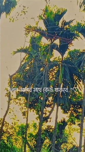 আল্লাহর কাছে একা ফিরে যাব! 🤲🥹😅#fypシ゚viral #foryoupageshorts #fypyoutube #rellsvedio #trending#viral