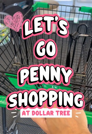 Dollar Tree Penny Shopping Haul: 170 Items for $0.01 Each