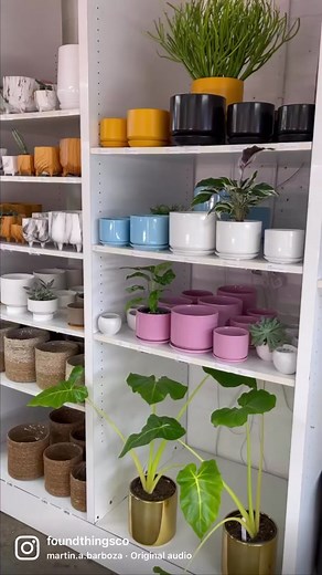 Fresh ceramics, just hit the shelves this morning! If it’s not a new plant you need, maybe it’s a new plant accessory ✨🌱 More coming soon, at the #FoundThingsPlantShop #plantshop #plantsoftiktok #planttiktok #houseplantsoftiktok #plantTok #plantshopping #plantlover #plantmom #plantcollectors #houseplantclub #houseplantlover #plantcommunity #plantshopvibes #syracuseuniversity #syracuse #syracuseny #plantdaddy #cny #planttok #plants #plantlover #hangingplants #plantpeople #plantparent #plantparen