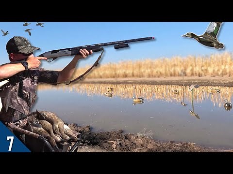 Duck Hunting a TINY Pond in a CORNFIELD! (Limited Out) | 28 Gauge Duck Hunting