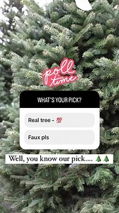 Haven't gotten a tree yet? You're in luck! Our fresh Christmas Trees are now 60% OFF and start at only $27.99!  ⠀⠀⠀⠀⠀⠀⠀⠀⠀ Stop in and we can help you pick the perfect tree, bring it to your car and even help you load it onto your hood or put it into your truck. It's our goal to make the process as easy as possible for you!﫶 | O'Toole's Garden Centers | Facebook