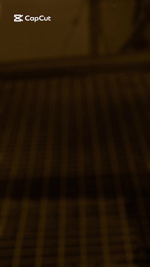 Exploring the Port of Colombo Experience