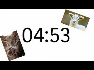 5 minute screaming goat timer